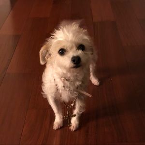 Meet your Posher, Elizabeth